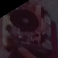 گمشده