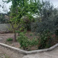 اجاره ویلا  در حاشیه جنگل|اجارهٔ کوتاه‌مدت ویلا و باغ|بندر گز, |دیوار