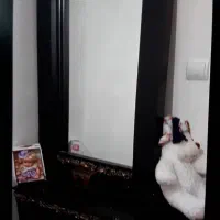 کمدلباس بچه ومیزارایش اینه ودوتاکنسول.|جاکفشی، کمد، دراور|تبریز, |دیوار