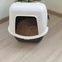 گربه فروشی|گربه|اردبیل, |دیوار