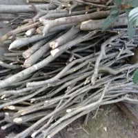 چوب زغالی درخت آزاد|مصالح و تجهیزات ساختمان|آستانه اشرفیه, |دیوار