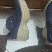 کفش کتونی کالج اسپرت