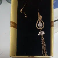 گوشواره گم شده