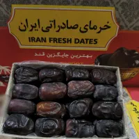 خرمای مضافتی تازه
