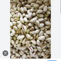 فروش زمین پسته ایی نیم حبه