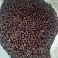 آلوچه خشک|خوردنی و آشامیدنی|تهران, بازار|دیوار