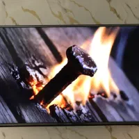 تلویزیون ایکس ویژن ۴۹|تلویزیون و پروژکتور|قم, سراجه (۱۵ خرداد)|دیوار