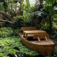 تور بانوان گشت یکروزه جنگل آمازون پاپایا