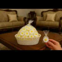 گیفت شمع بابونه