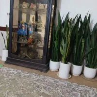 بوفه|بوفه، ویترین، کنسول|ملایر, |دیوار