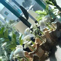 واگذاری کافه