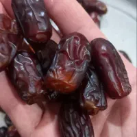 خرما سعمران صادراتی خوزستان فروش عمده