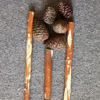 چوب طبیعی پرنده