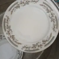 پیش دست چینی