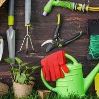 خدمات باغبانی/طراحی فضای سبز