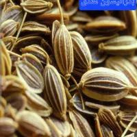 محصولدلاعری حتمی بدون ورزش ورزیم|خوردنی و آشامیدنی|قم, شهرک امام حسن|دیوار