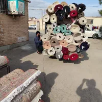 قالیشویی محمد گلبهار چناران گلمکان