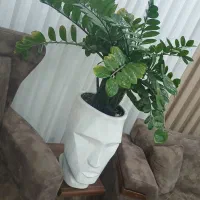 گل و گلدان|گل و گیاه طبیعی|مریوان, |دیوار