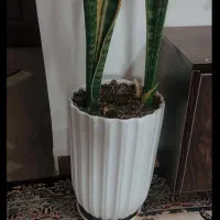 گلدان سفالی