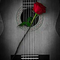 سوپرایز تلفنی با گیتار واسه اکس واسه تولد