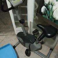 دوچرخه ثابت