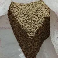 گندی محلی خوشمزه مفت