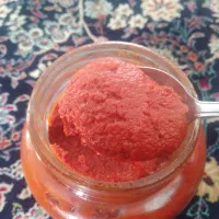 رب خانگی