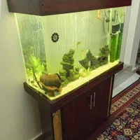 آکواریوم شرکتی بزرگ