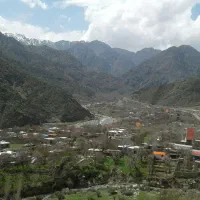 زمین بندر دلفارد