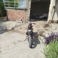 همه فن حریف