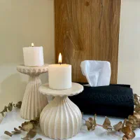 جا دستمال|مجسمه، تندیس، ماکت|بندر انزلی, پاسداران|دیوار