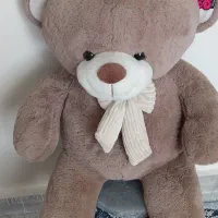 خرس خارجی|اسباب‌بازی بچه|شهریار, شهرک وائین|دیوار