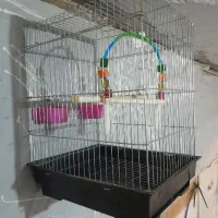 قفس مرغ عشق