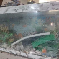 آکواریوم(۷۰×۳۰)