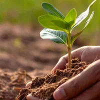 فراخوان محدود اعطای نمایندگی فروش شرکت ویرا