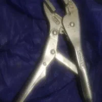 انبرقفلی آمریکایی