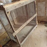 معاوضه با هر کالایی|لوازم جانبی حیوانات|میناب, |دیوار