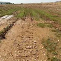 زمین-باغی-کشاورزی-با-آب