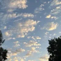 ۱۰۰متر زمین تجاری دهبکری