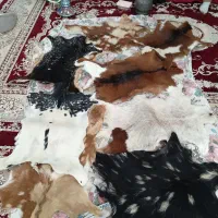 پوست چرم طبیعی