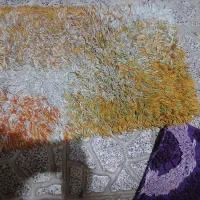 دو جفت پادری|پادری|نظرآباد, نظرآباد|دیوار