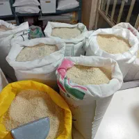 برنج هاشمی درجه یک با عطر بهشتی و پخت بی نظیر|خوردنی و آشامیدنی|کرج, عظیمیه|دیوار