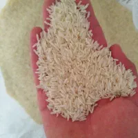 برنج طارم هاشمی دوباره کشت|خوردنی و آشامیدنی|بابل, |دیوار