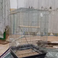یک عدد قفس