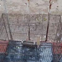 قفس برای پرندگان|لوازم جانبی حیوانات|دهدشت, |دیوار