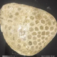 سنگ های عقیق عصلی ، ،کوارتز ،سیترین،صف دو کفه ای|کلکسیون و سرگرمی|چالدران, |دیوار