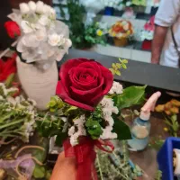 گل و تاج گل|گل و گیاه طبیعی|تهران, زنجان جنوبی|دیوار