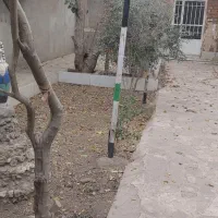 یک باب منزل مسکونی بزرگ جنت اباد|اجارهٔ خانه و ویلا|قنوات, |دیوار