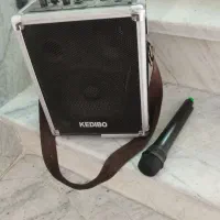 بلندگو با میکروفون
