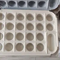 سینی لیوان شربتی ۲۲ حفره +جاقنددار